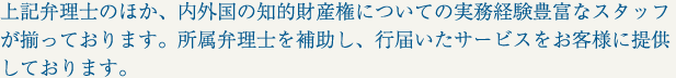 上記弁理士のほか、内外国の知的財産権についての実務経験豊富なスタッフが揃っております。所属弁理士を補助し、行届いたサービスをお客様に提供しております。